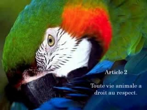 DÉCLARATION UNIVERSELLE DES DROITS DE L'ANIMAL