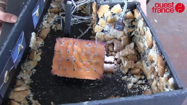 Concours d'entrée aux Beaux Arts à Rennes