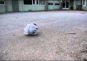 Amazing Footage of Hexapod Robot