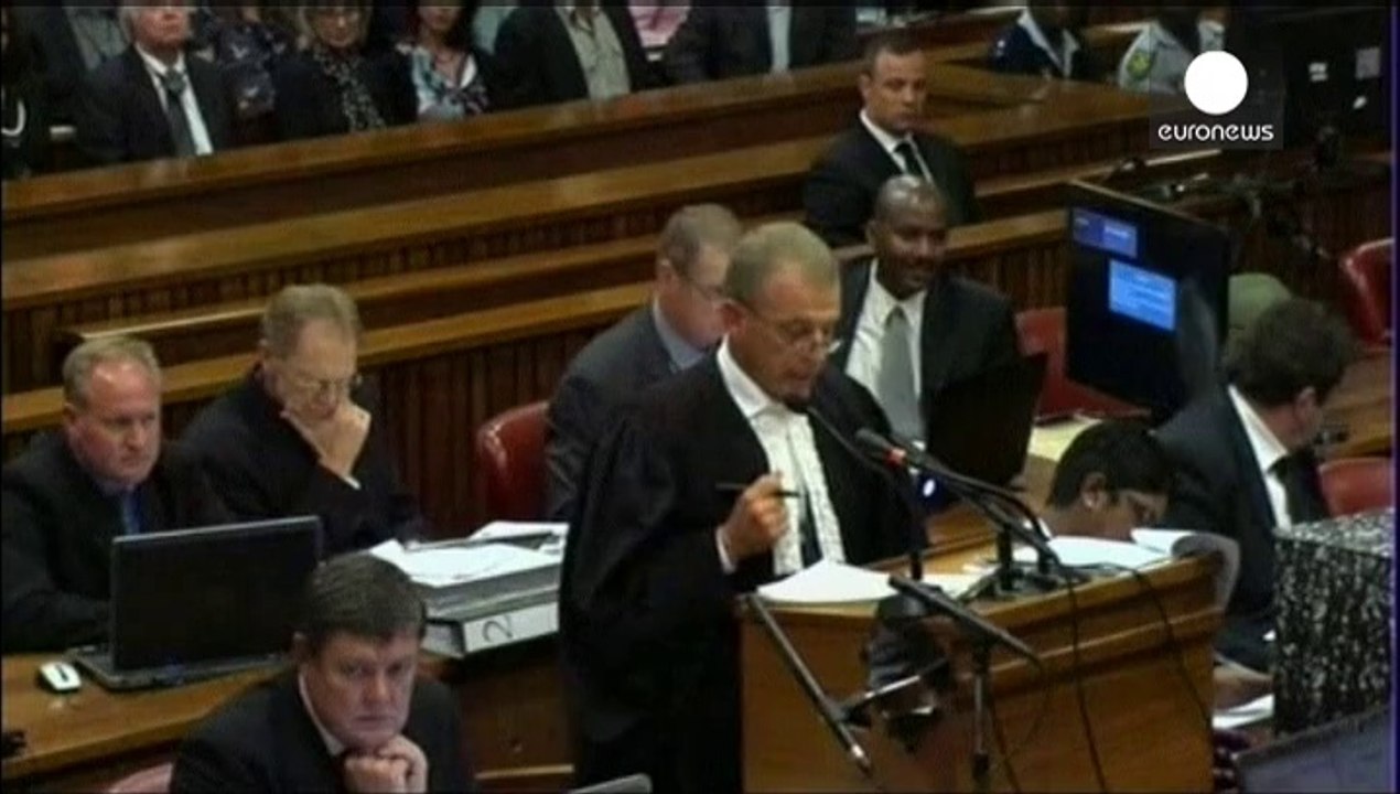 Rapid fire killed Reeva Steenkamp claims defence in Pistorius trial