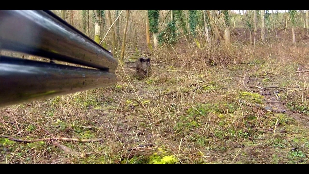 La Chasse en caméra embarquée - Chasse Passion