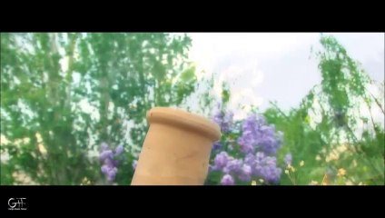 zalimsin sen beste güfte ayhan ceran