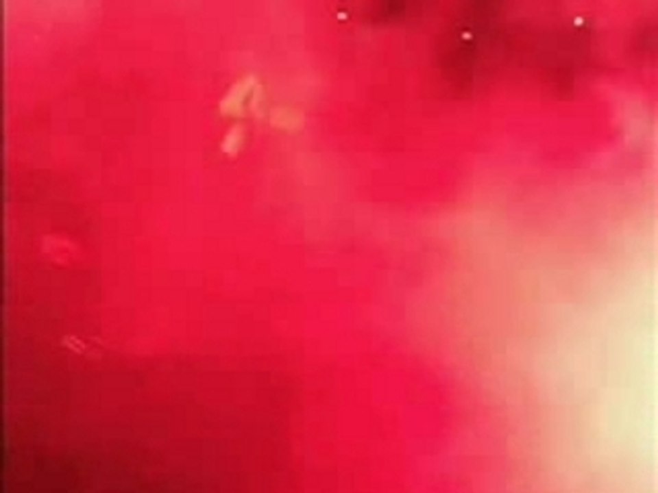 Honneur et respect aux interdits