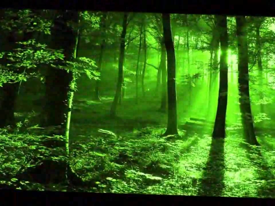 Sibel Pamuk -  Ömrüm