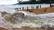 Surfer Makes The Best of Flood | Ocean/River Hybrid Surfing