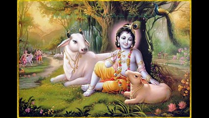 Man Mohan Krishna Murari