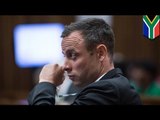 Police photographer cross-questioned at Pistorius murder trial