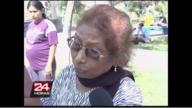 San Juan de Lurigancho: vándalos destruyen Virgen de la Inmaculada Concepción