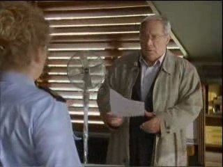 Analyse politieserie Baantjer