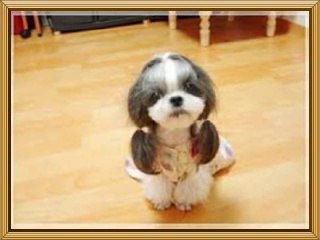 ＃건마も【건마】■강남구아메센터,양천구건마※