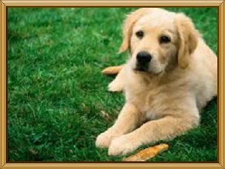 건마》[건마]＆관악구아메센터δ서초구건마▒