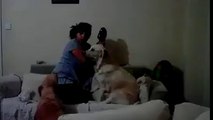 Funny Video - Dog Prvenets a mother from beating her child