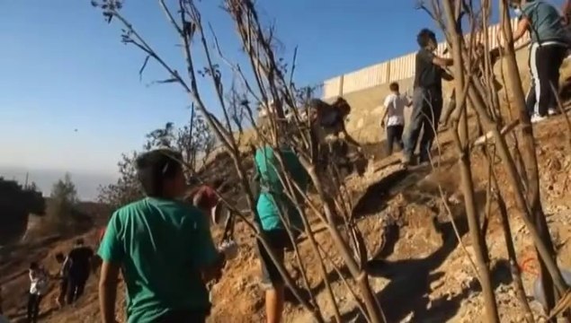 Bachelet visita zona del incendio en Valparaíso y escucha a damnificados