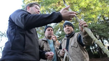 Métier, encadrant technique