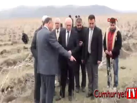 Vali, hatıra ormanında geçe yıl dikilen fidanları bulamadı