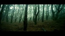 Watch Evil Dead movie.