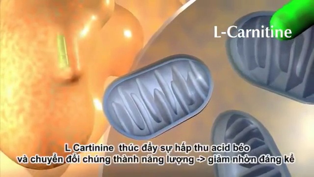 công ty sản xuất video clip quảng cáo