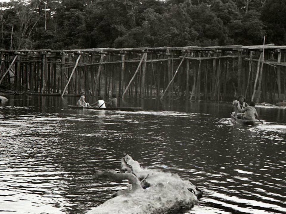 Vacances au Gabon (1975)