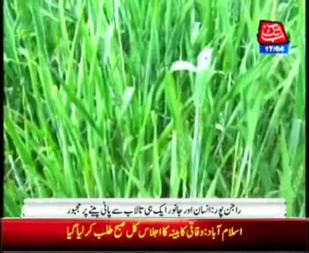 Rajanpur: Drought started after irrigation water closed