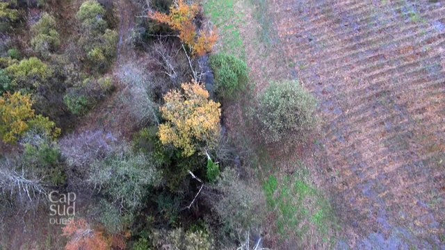 Le Périgord: Les 1001 châteaux