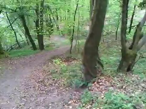 petite descente de foret en 250 quad et moto cross shineray + 200 blaster (55° de pente)