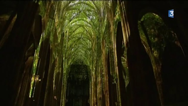 Emission vu d'ici : projection monumentale Gothique Frémissant