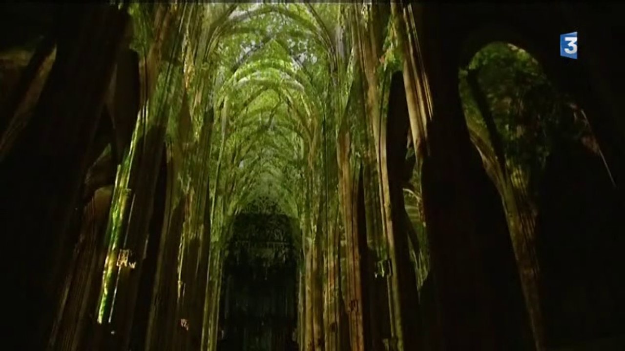 Emission "vu d'ici" : projection monumentale "Gothique Frémissant"