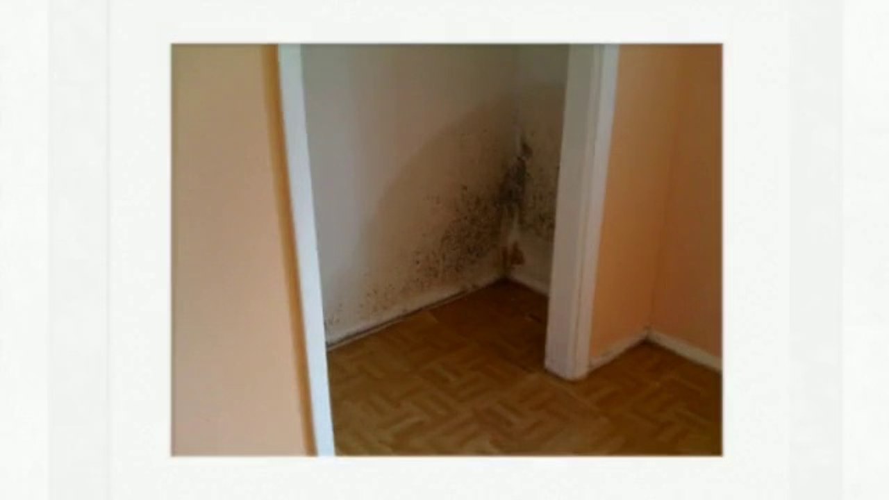 Solar Water Heating Systems in Gresham City (Ventilation).