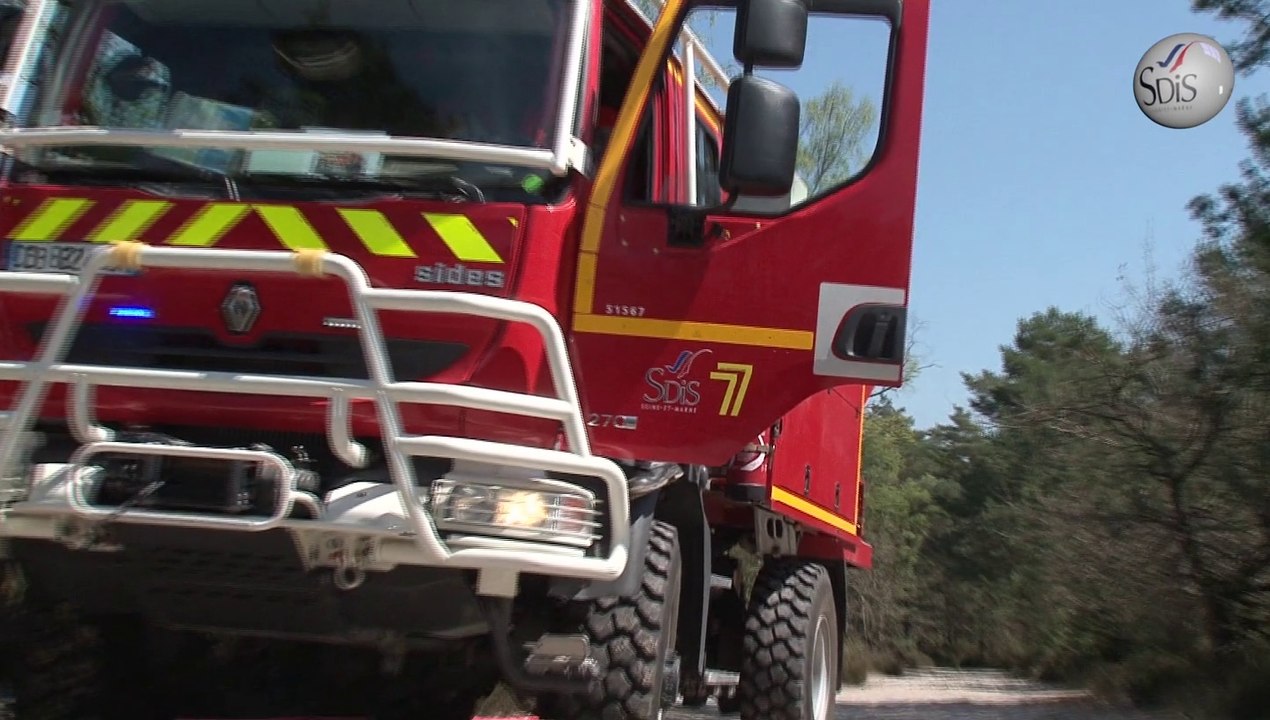 Feu de forêt dans le domaine des Trois Pignons