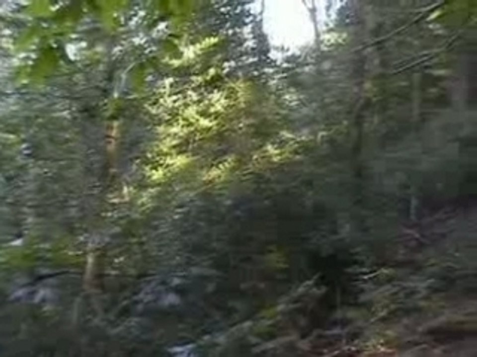 La Joconde