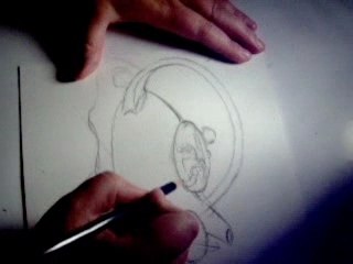 Les ellipses d'une tasse de thé