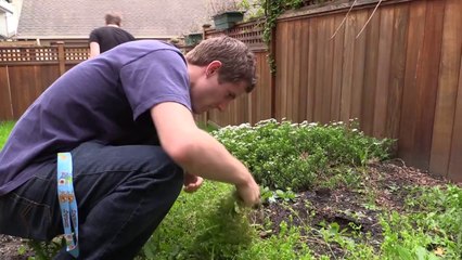 Tagger NFC Ultimate Geeky Easter Egg Hunt