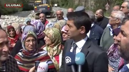 Rize'de yüzlerce ağaç kesildi