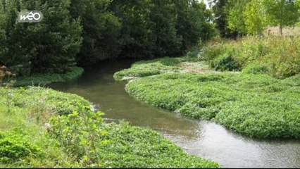 Eco & Co : L'eau, enjeu écologique et économique
