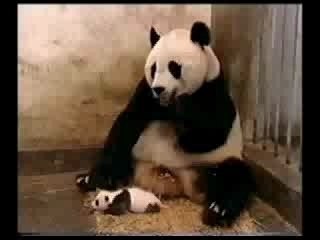 ... aaaaaAAAAAAAA!!!!....