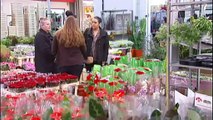TV3 - Telenotícies comarques - Venda de roses prevista per Sant Jordi