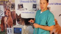 Veterinary Ultrasound Machine Short demo by KeeboMed
