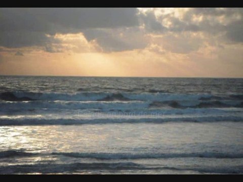 Une balade au son des vagues - Bord de mer