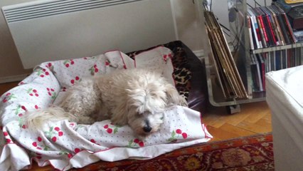 Hasan Cihat Örter - Emin Fındıkoğlu (1/3)