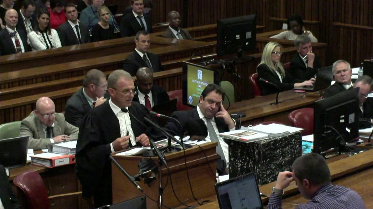 Prosecution continues to pillory Pistorius expert