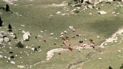 #5 Réserve Naturelle Calanes "Diversités"