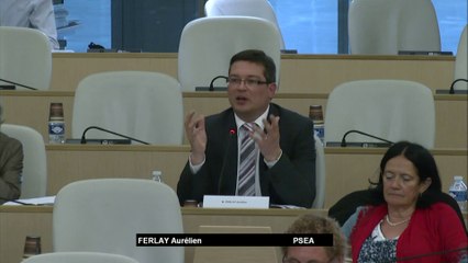 Modification des statuts d'Ardèche Drôme Numérique - Aurélien FERLAY