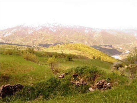 NARİNA KURDİ BIRİNA YARE MUŞ YAMAÇ KÖYÜ