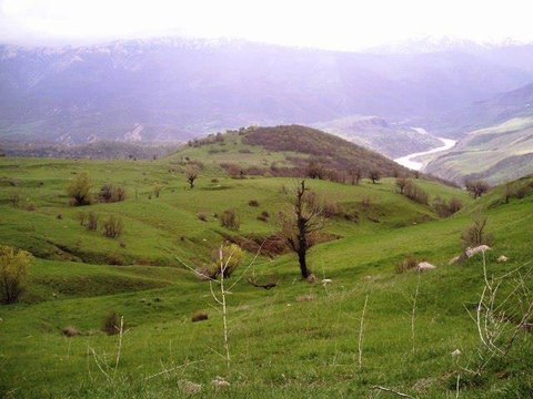 HOZAN ZOZAN DAYIKA KURDİ