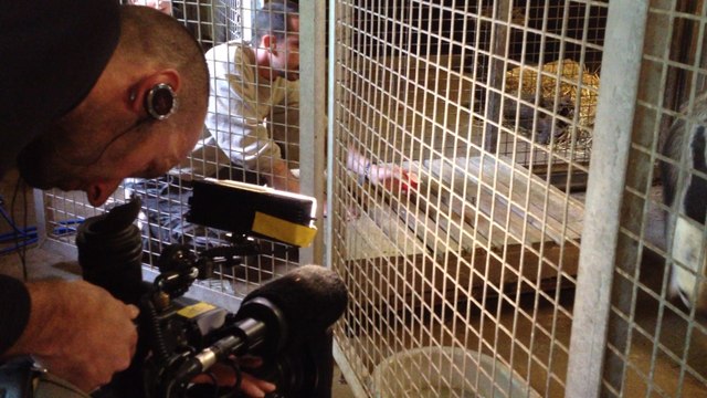 Tournage au zoo