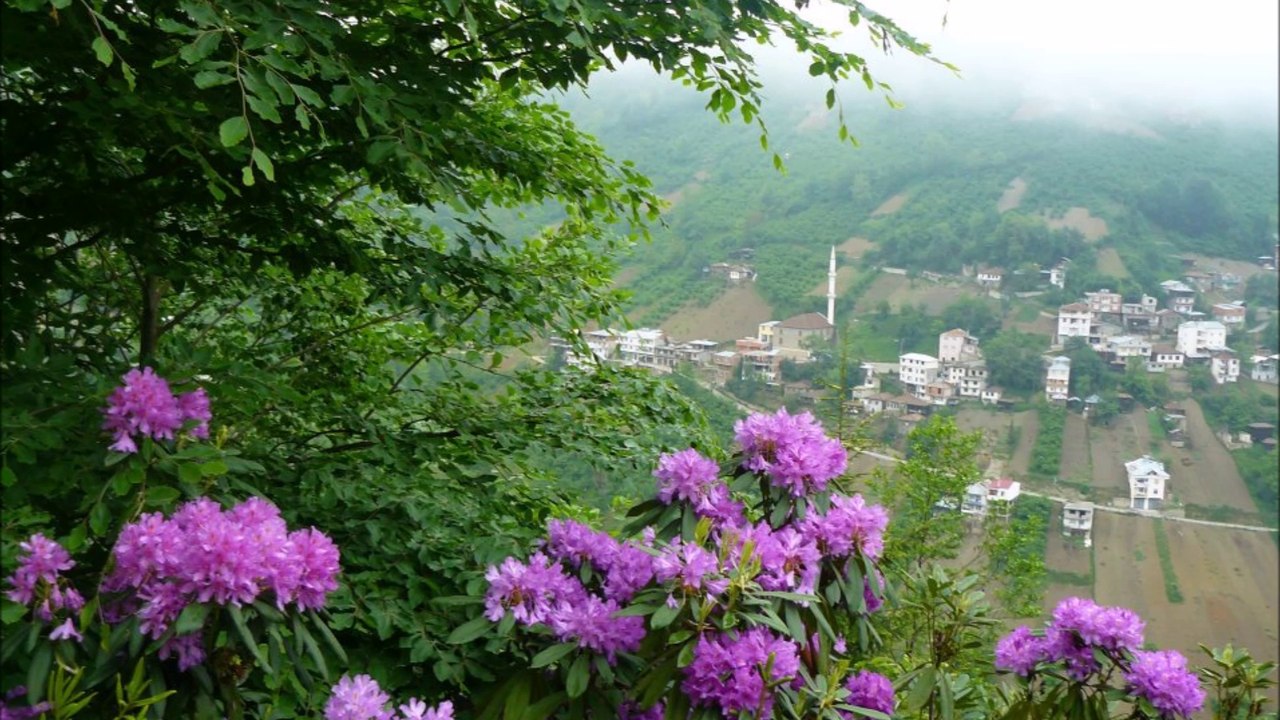 Ahmet Safak Sevdugum--Deniz Ölmez..