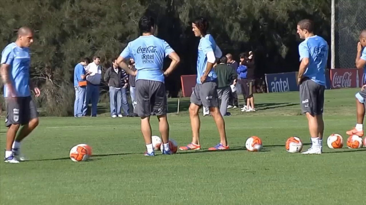 WM 2014: Cavani: 'Sollten den Moment genießen'