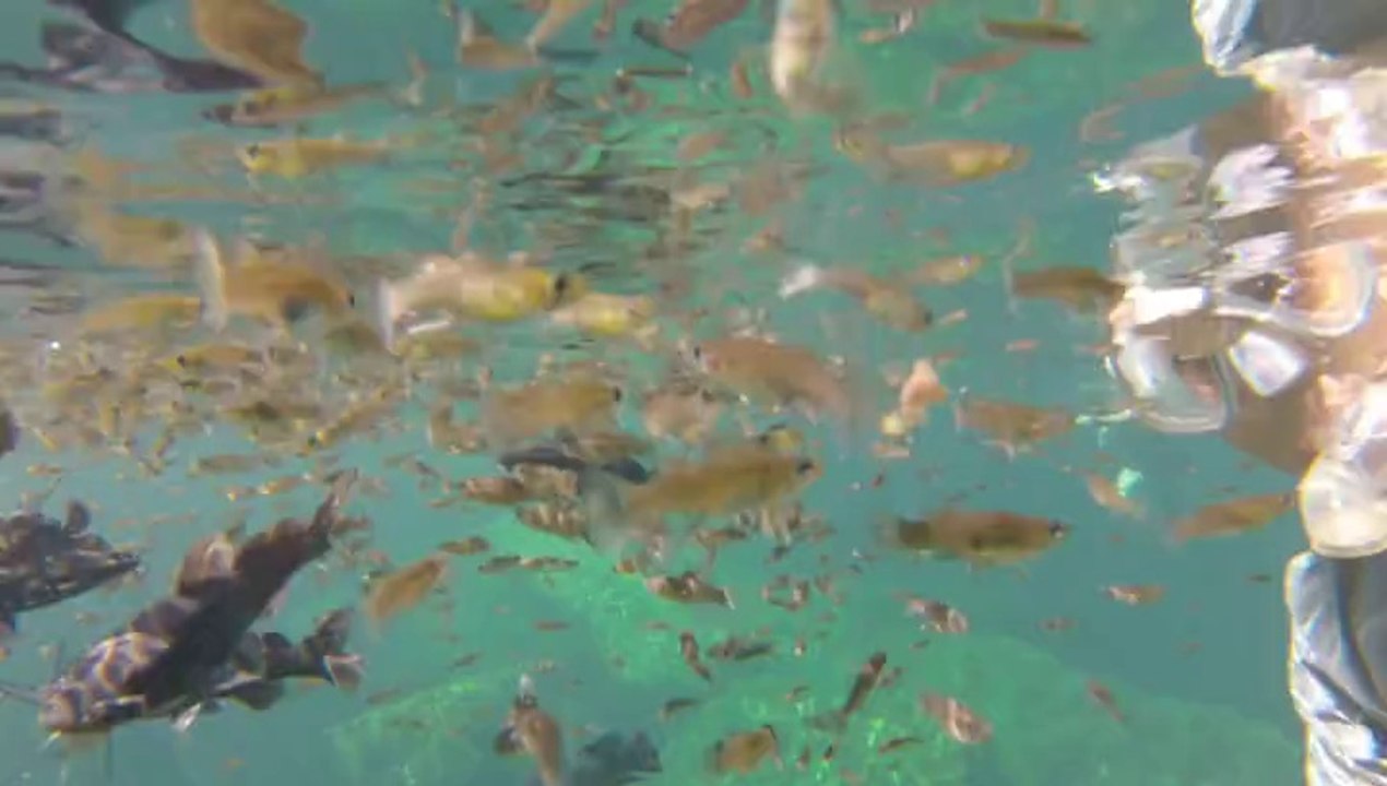 Voyage au Mexique cancun au moon palace