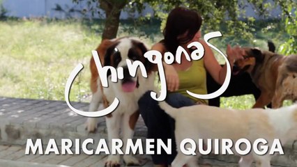 Maricarmen Quiroga : Chingonas (promo)