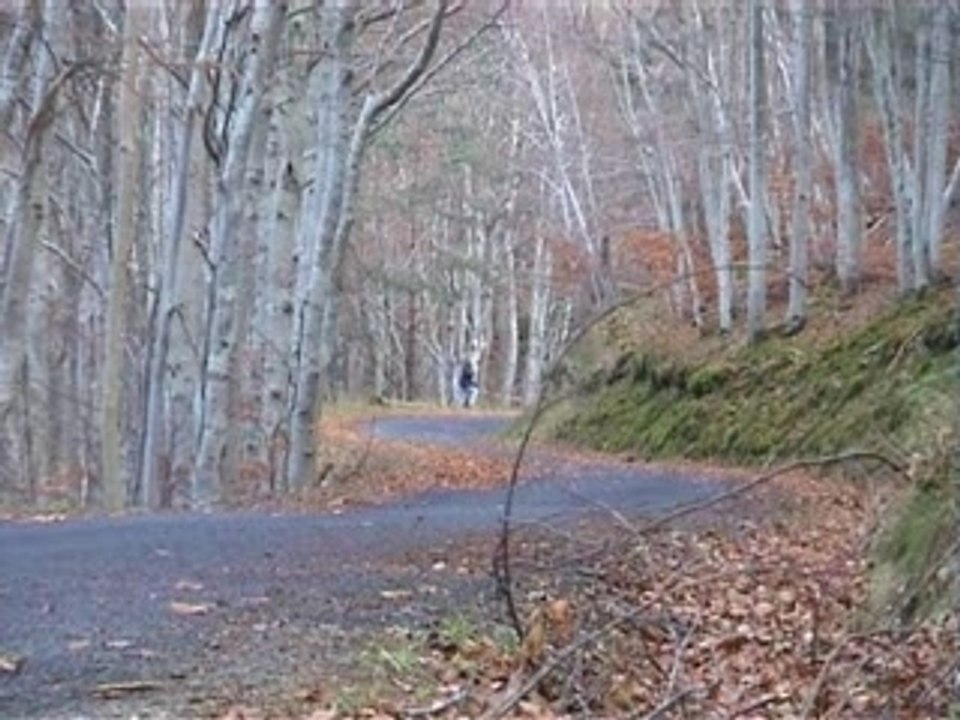 Essais de Sébastien Loeb C4 MC 2007